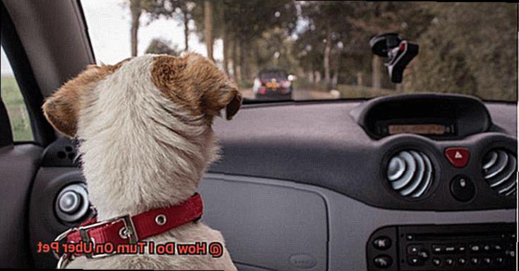 How Do I Turn On Uber Pet-2