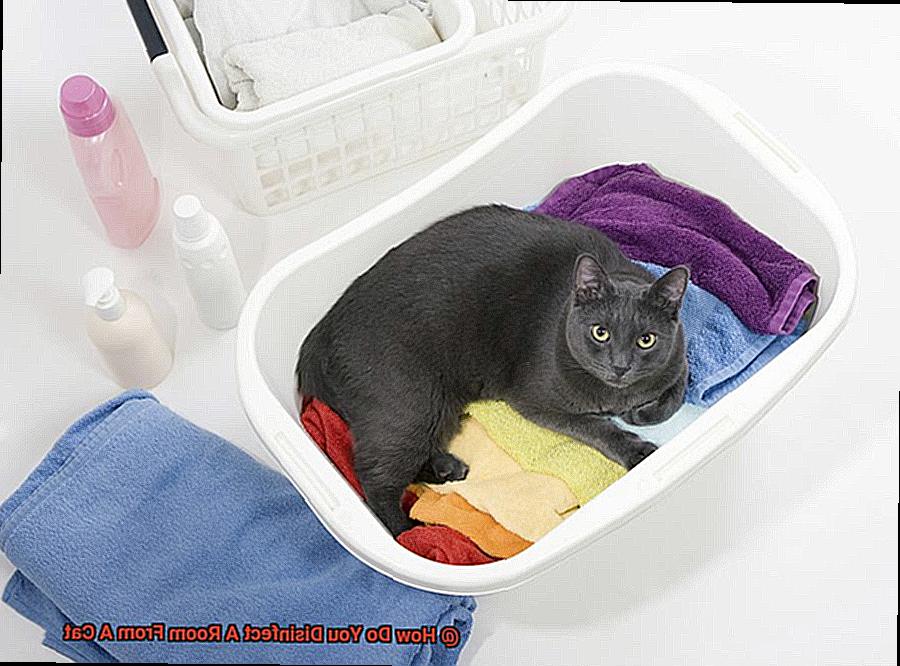 How Do You Disinfect A Room From A Cat-2