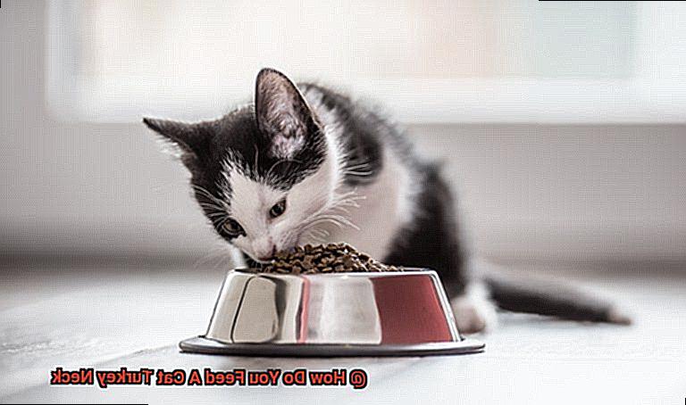 How Do You Feed A Cat Turkey Neck-2