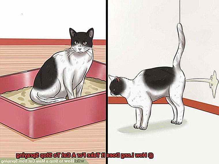 How Long Does It Take For A Cat To Stop Spraying-2