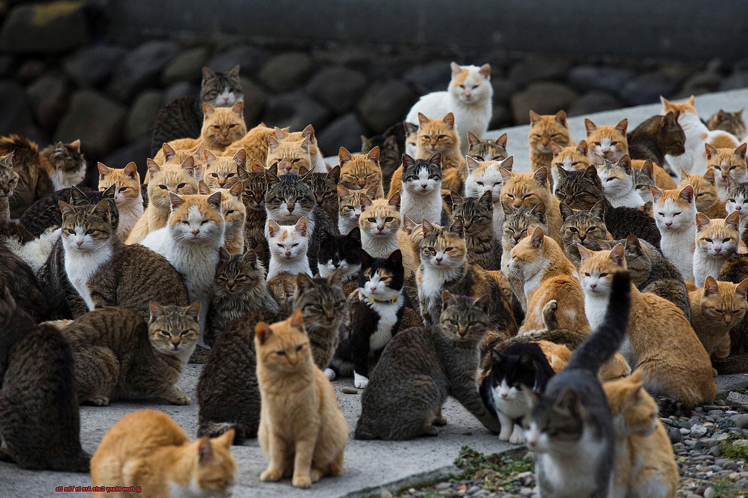 How Many Cats Are In The Us-2