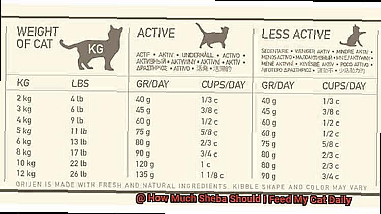 How Much Sheba Should I Feed My Cat Daily-2