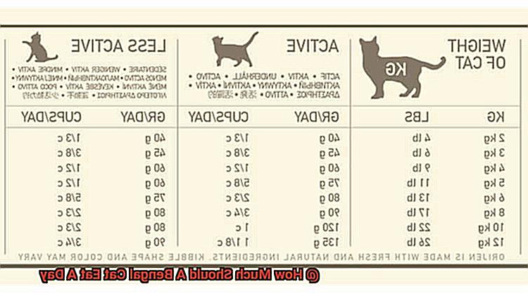 How Much Should A Bengal Cat Eat A Day-3