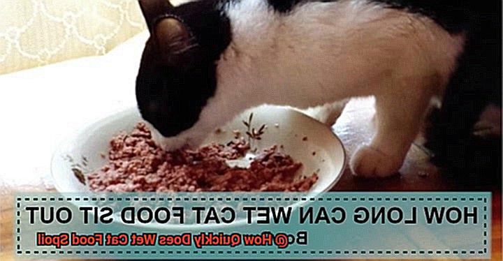 How Quickly Does Wet Cat Food Spoil-2