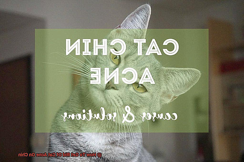 How To Get Rid Of Cat Acne On Chin-2