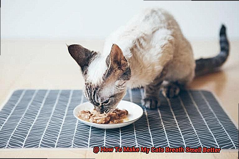 How To Make My Cats Breath Smell Better-5