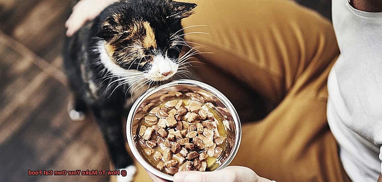 How To Make Your Own Cat Food-3
