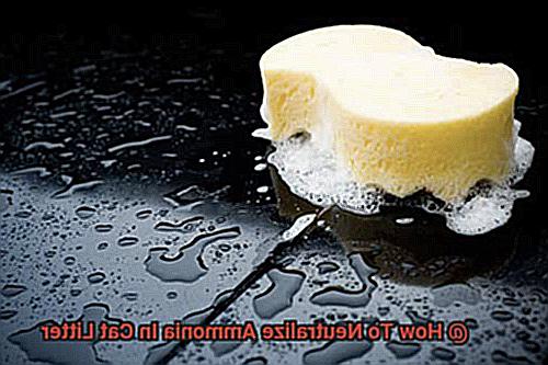 How To Neutralize Ammonia In Cat Litter-2