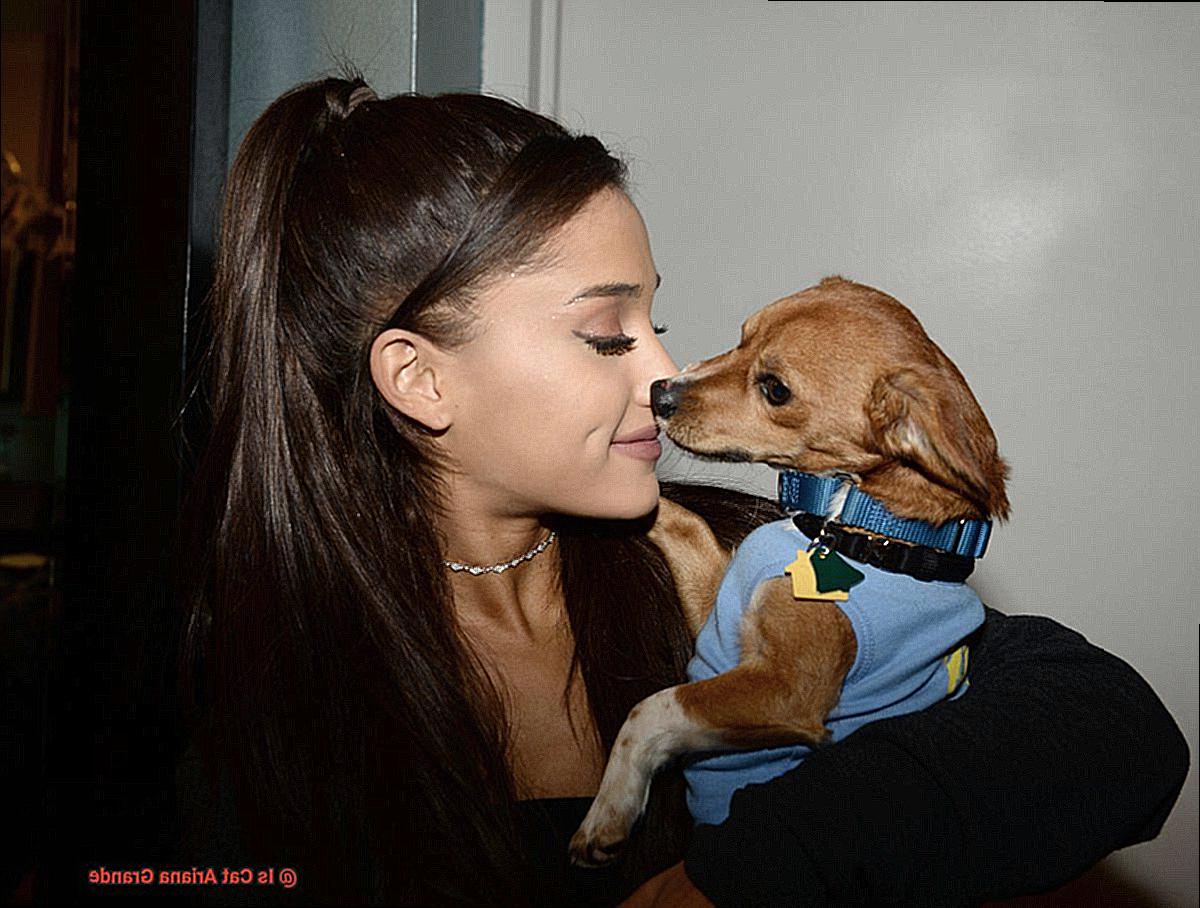 Is Cat Ariana Grande-3