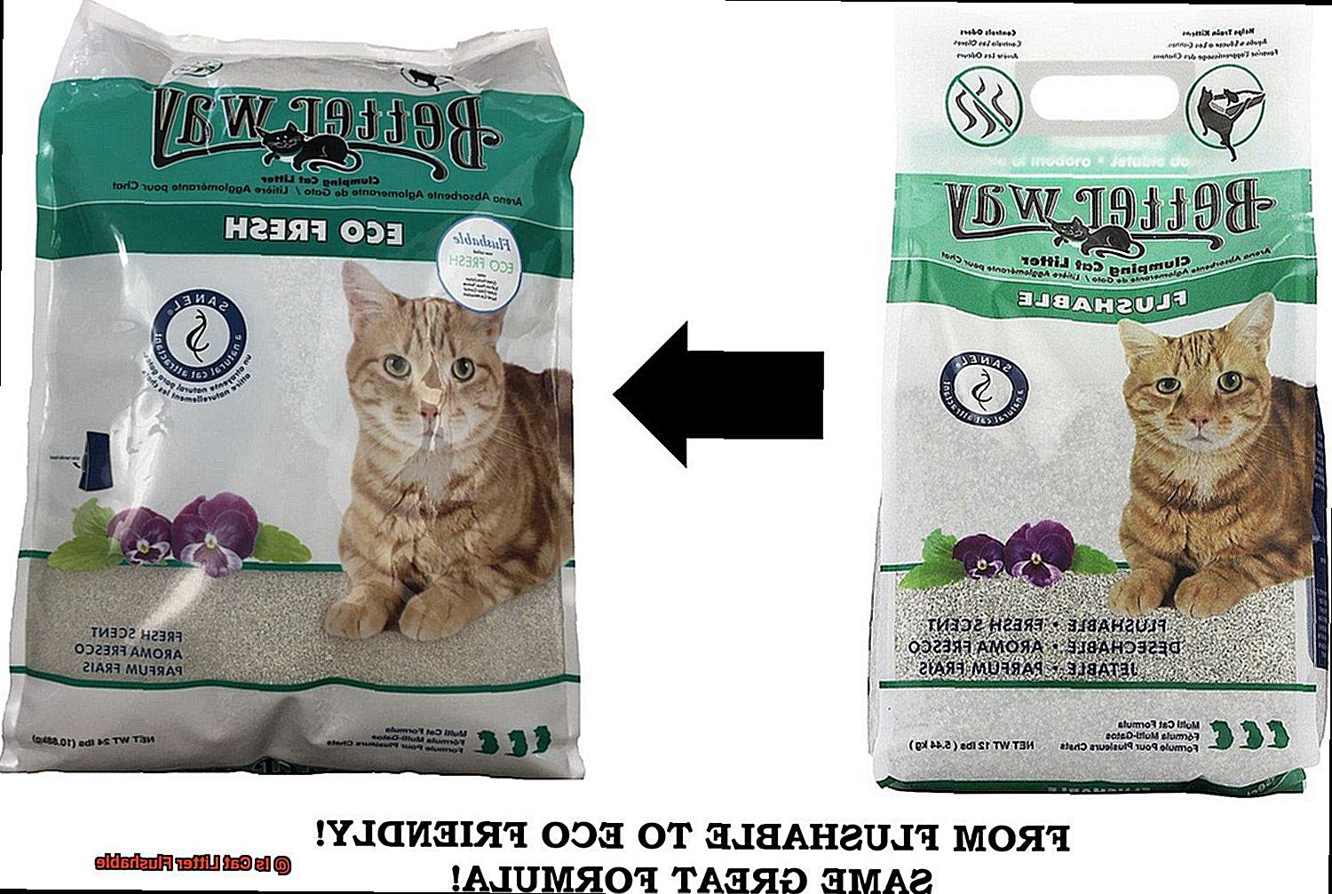 Is Cat Litter Flushable-5