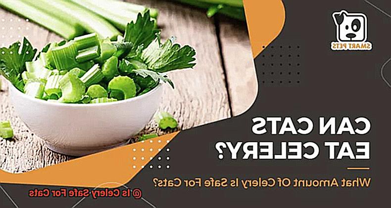 Is Celery Safe For Cats-2