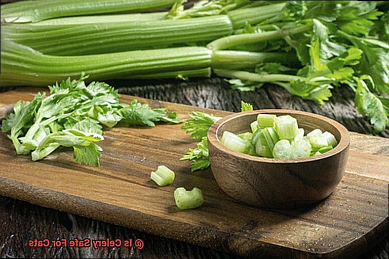 Is Celery Safe For Cats-3