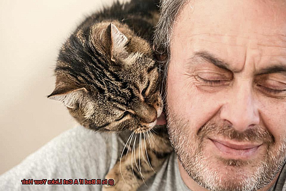 Is It Bad If A Cat Licks Your Hair-2