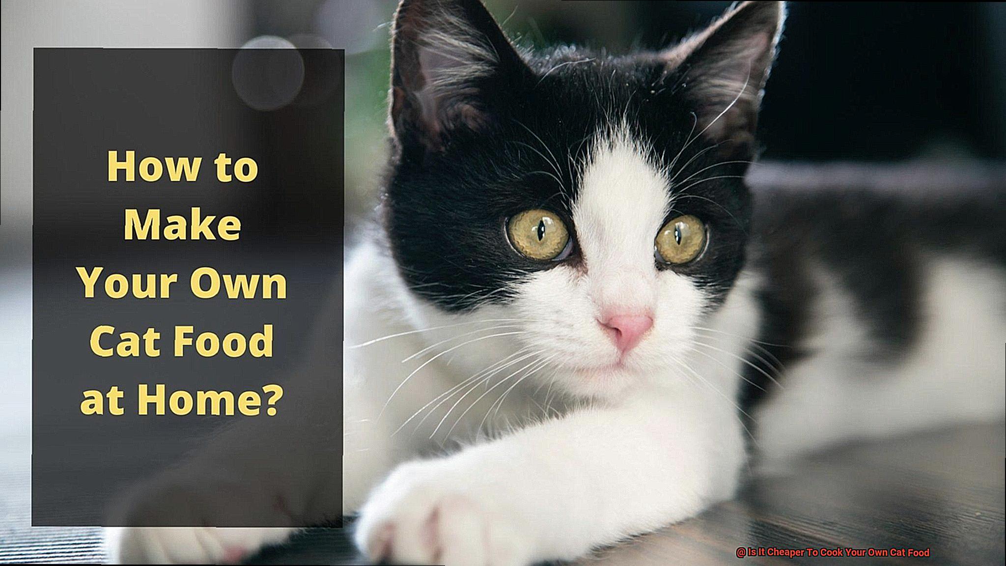Is It Cheaper To Cook Your Own Cat Food-2