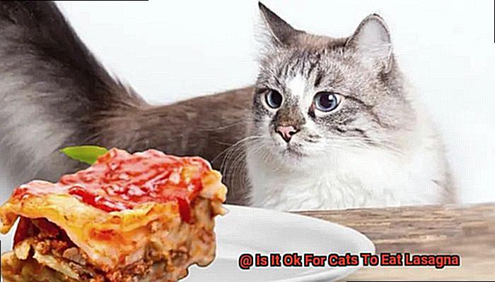 Is It Ok For Cats To Eat Lasagna-2