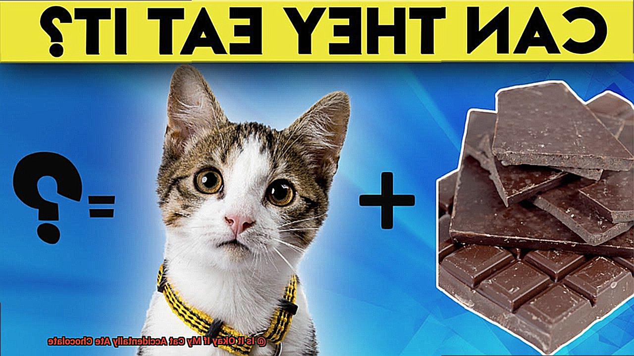 Is It Okay If My Cat Accidentally Ate Chocolate-2
