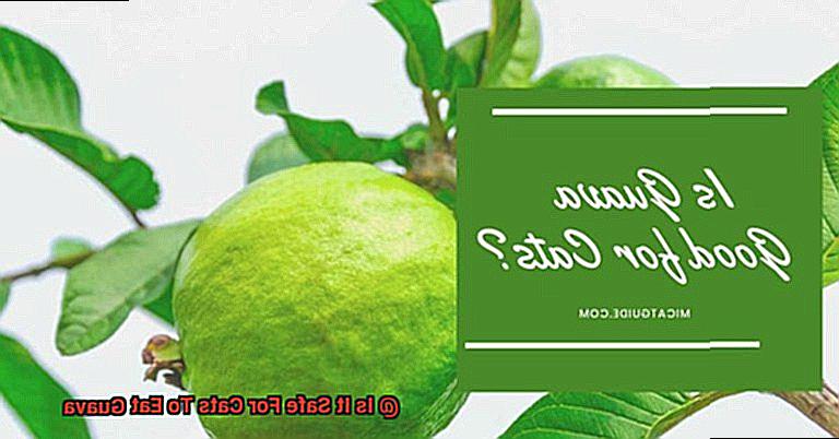 Is It Safe For Cats To Eat Guava-2