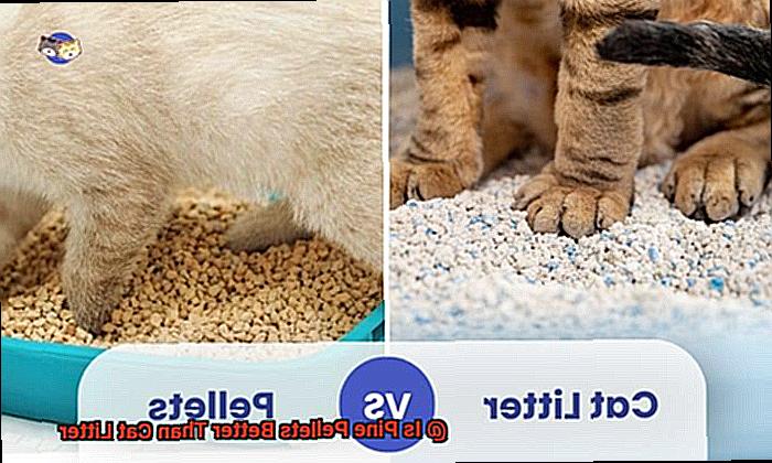 Is Pine Pellets Better Than Cat Litter-2