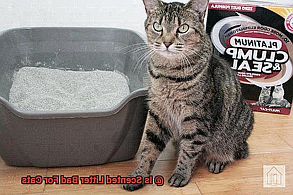 Is Scented Litter Bad For Cats-2