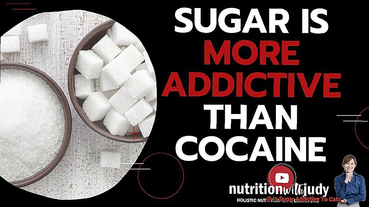 Is Sugar Addictive To Cats-2