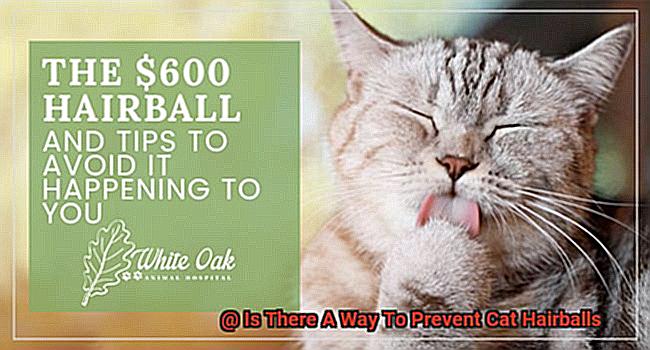 Is There A Way To Prevent Cat Hairballs-2