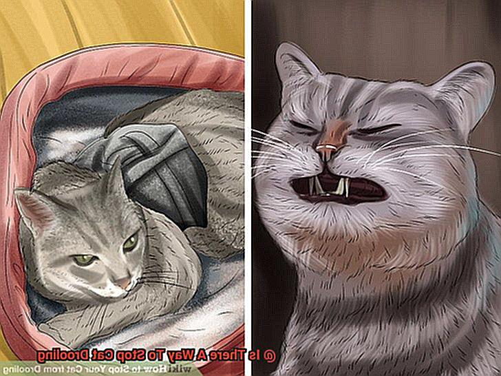 Is There A Way To Stop Cat Drooling-2