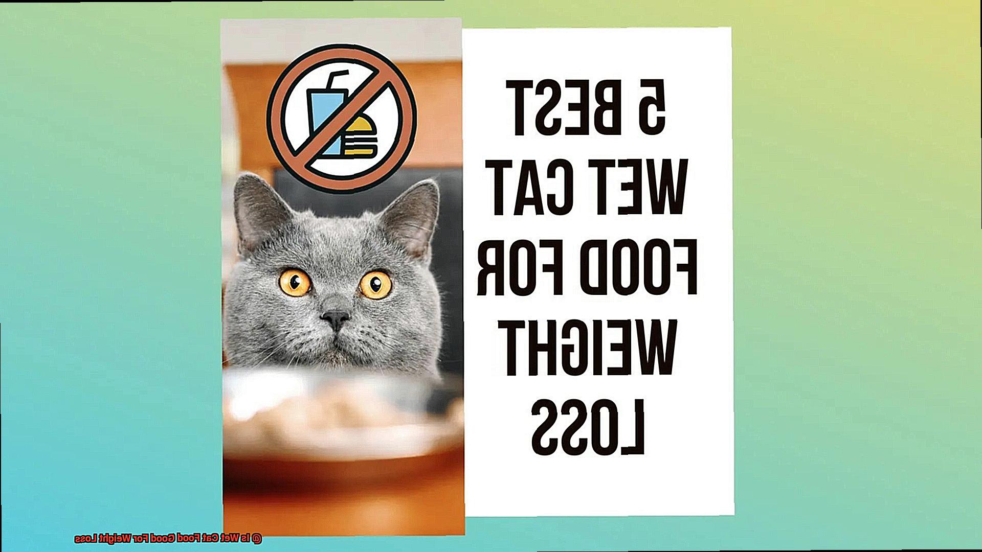 Is Wet Cat Food Good For Weight Loss-2