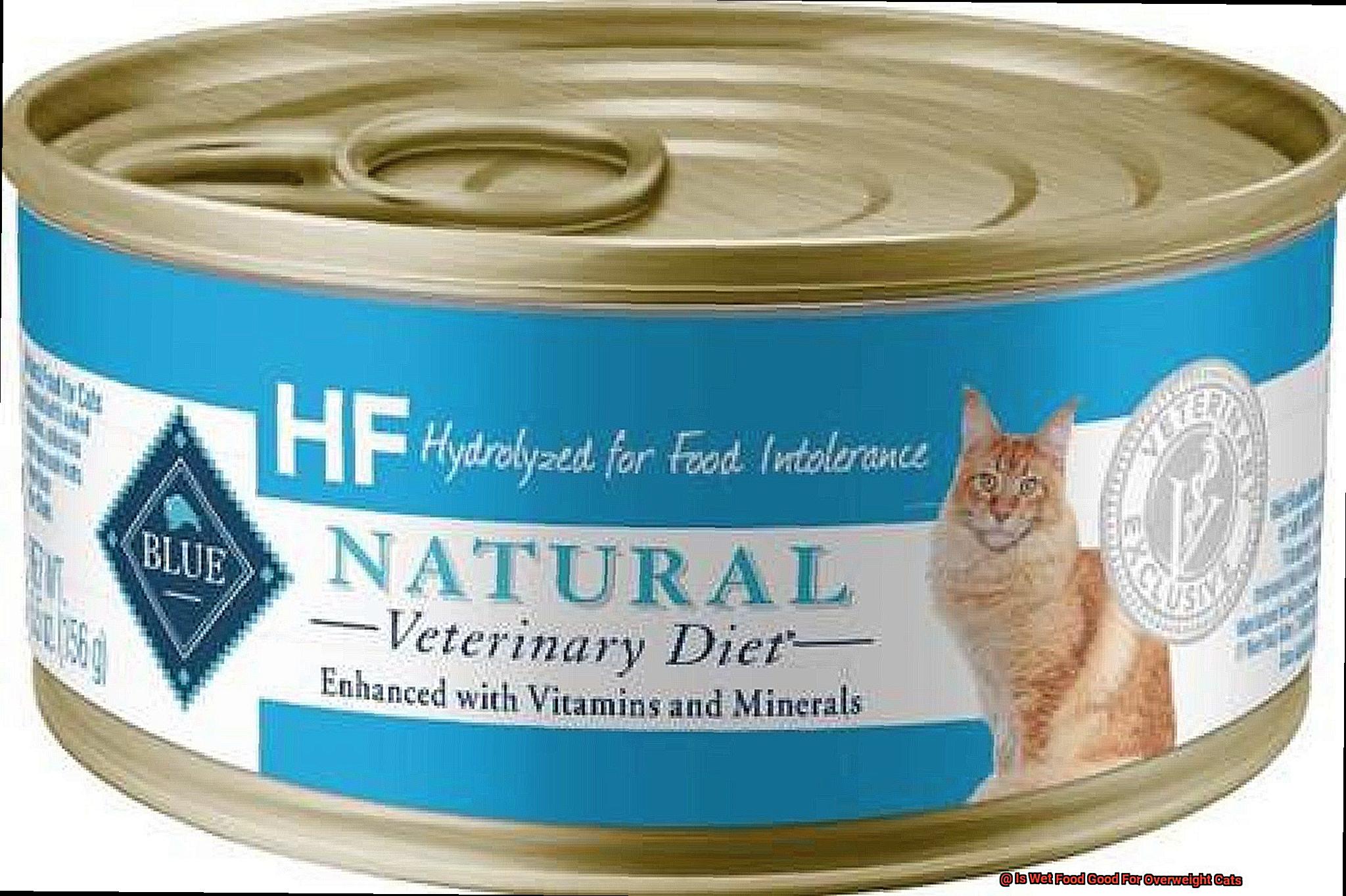 Is Wet Food Good For Overweight Cats-3