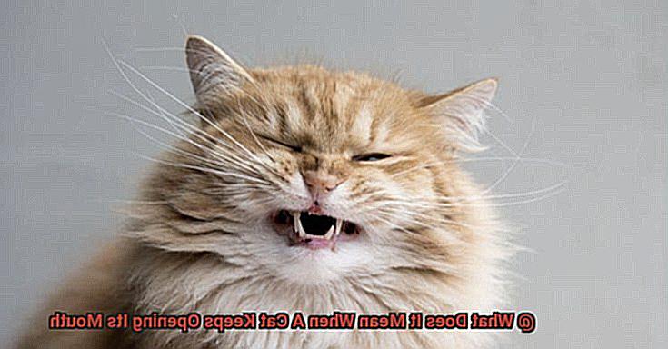 What Does It Mean When A Cat Keeps Opening Its Mouth-2