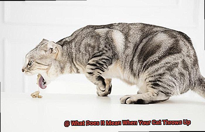 What Does It Mean When Your Cat Throws Up-2