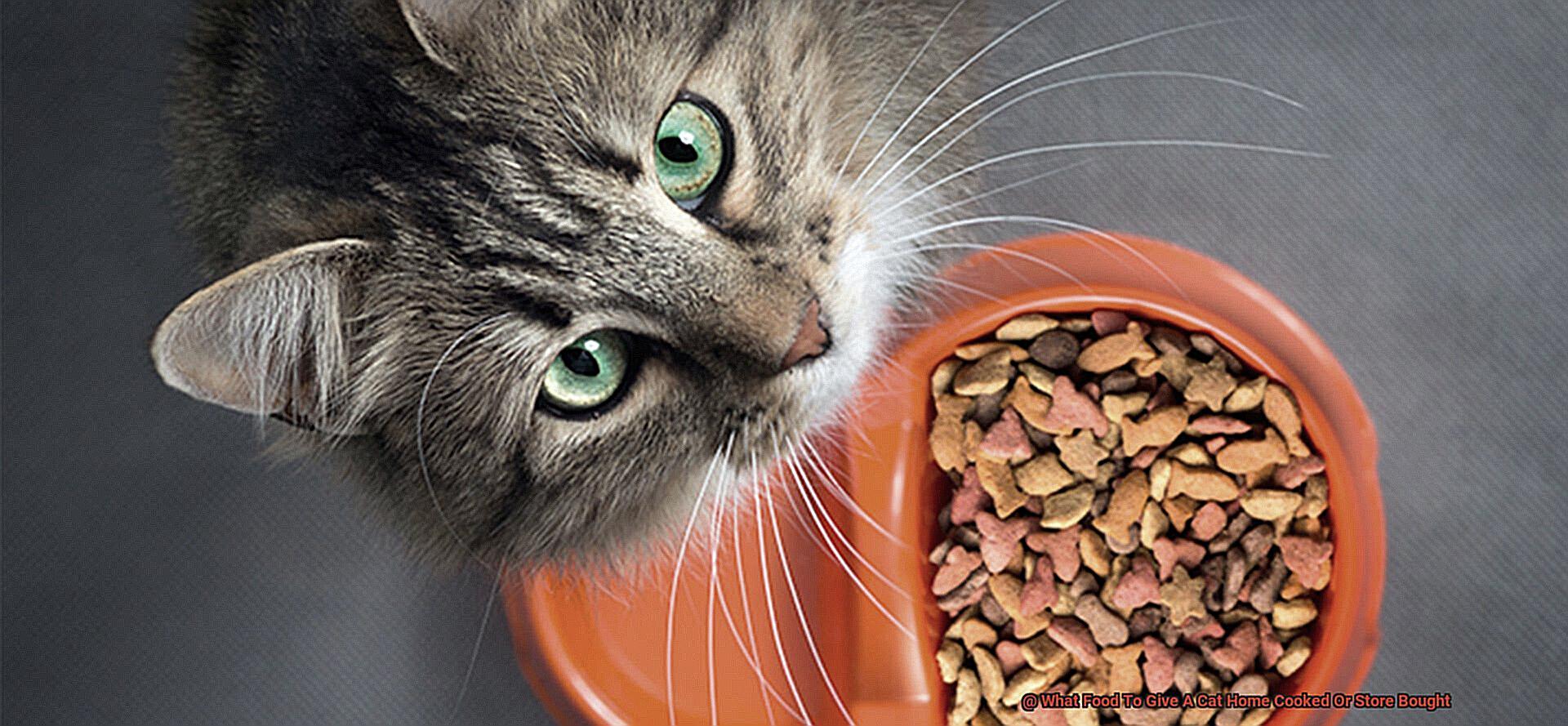 What Food To Give A Cat Home Cooked Or Store Bought-3