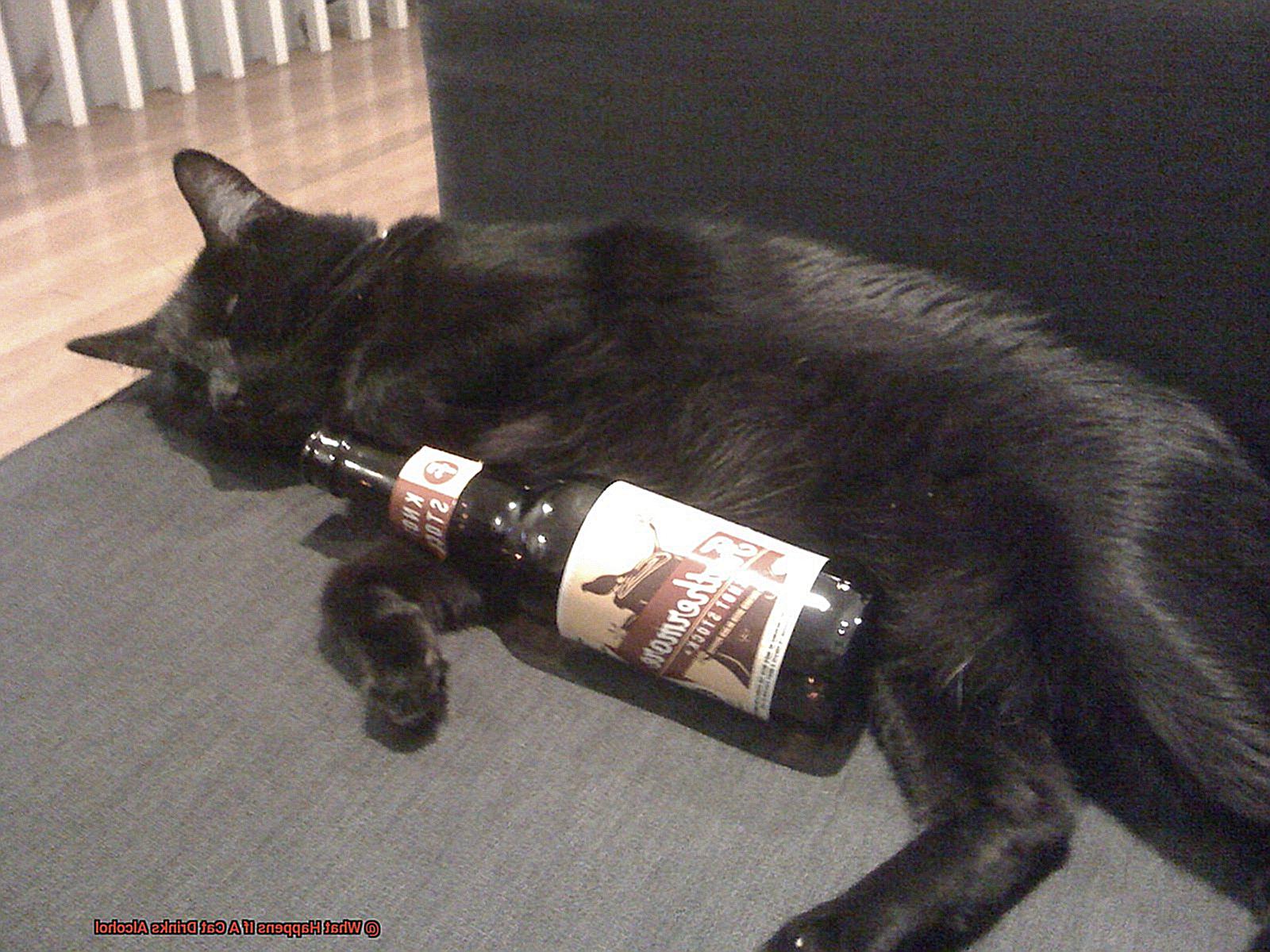 What Happens If A Cat Drinks Alcohol-2