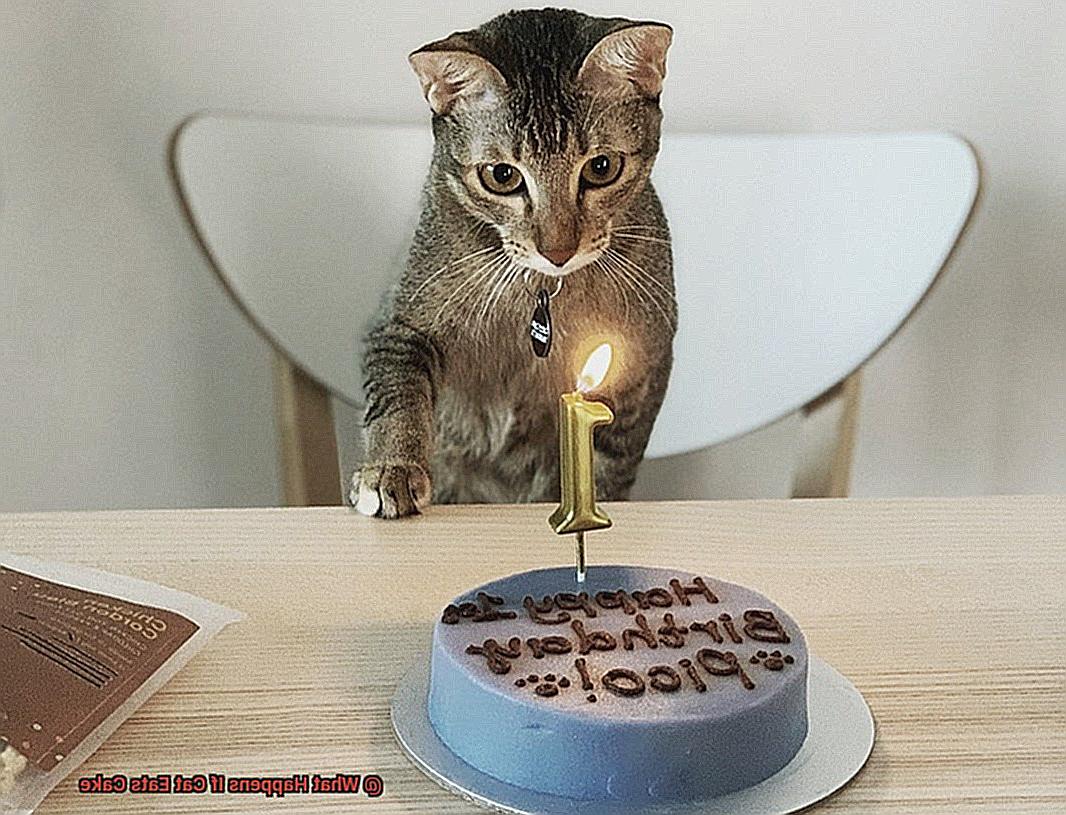 What Happens If Cat Eats Cake-2