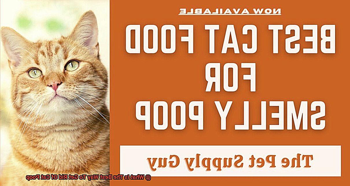 What Is The Best Way To Get Rid Of Cat Poop-2