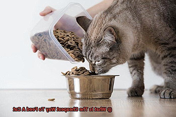 What Is The Cheapest Way To Feed A Cat-2