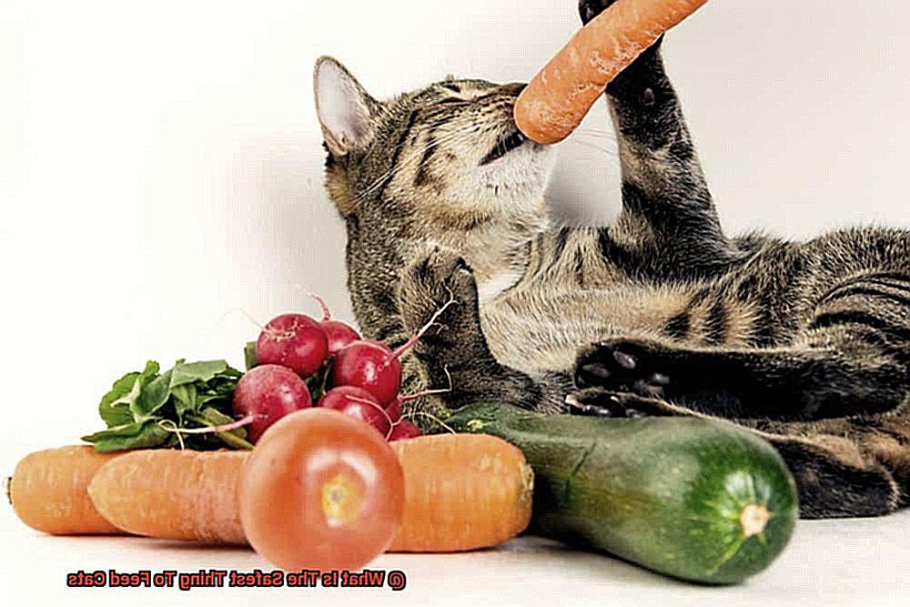 What Is The Safest Thing To Feed Cats-2