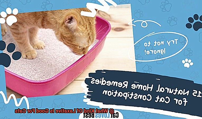 What Kind Of Laxative Is Good For Cats-3