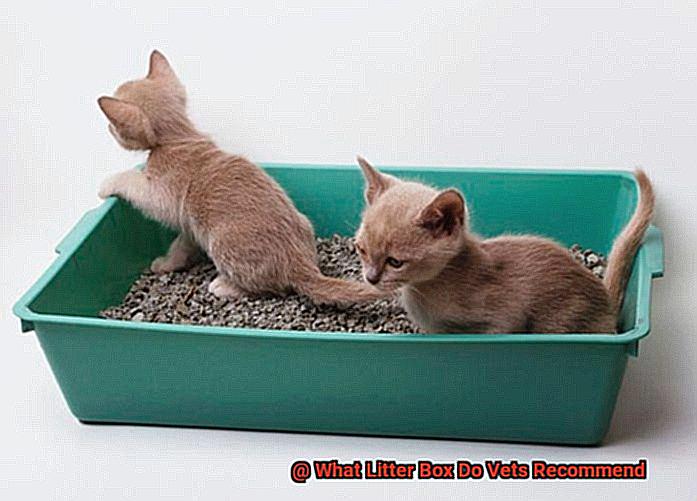 What Litter Box Do Vets Recommend-2