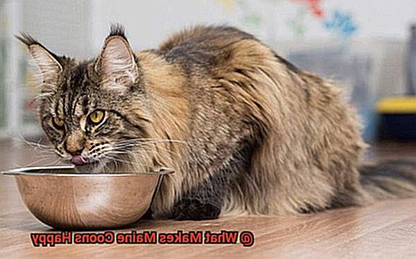 What Makes Maine Coons Happy-2