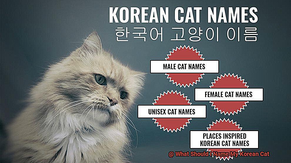 What Smell Do Cats Hate The Most-2