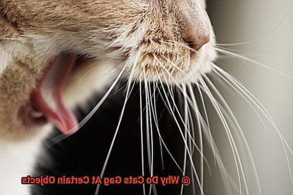 Why Do Cats Gag At Certain Objects-3