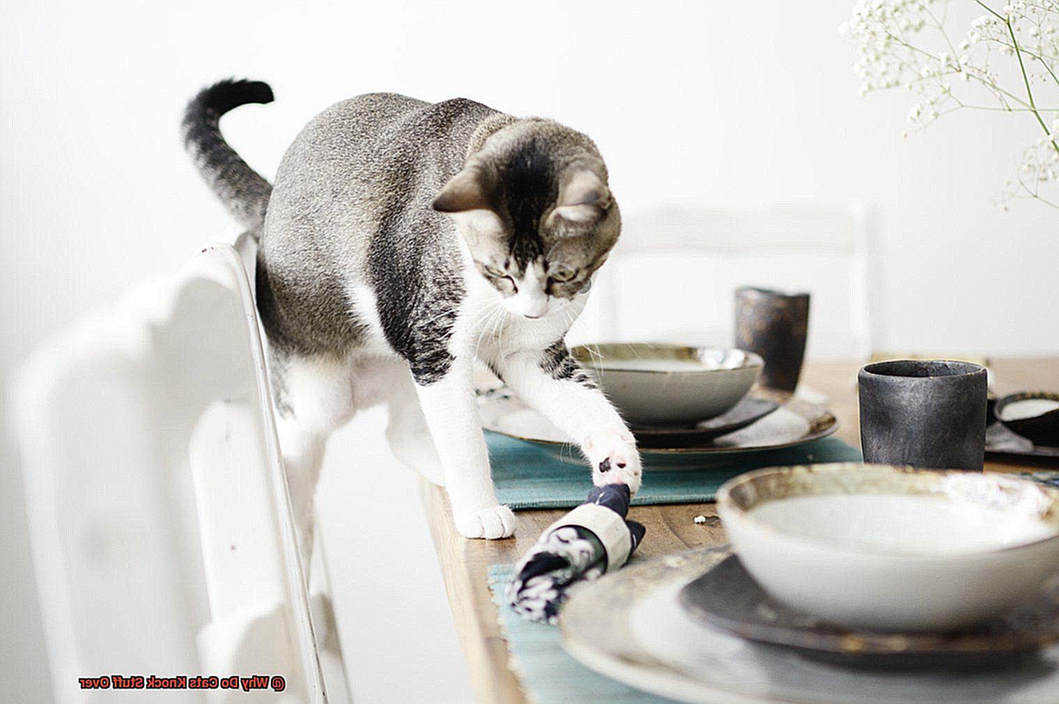 Why Do Cats Knock Stuff Over-2