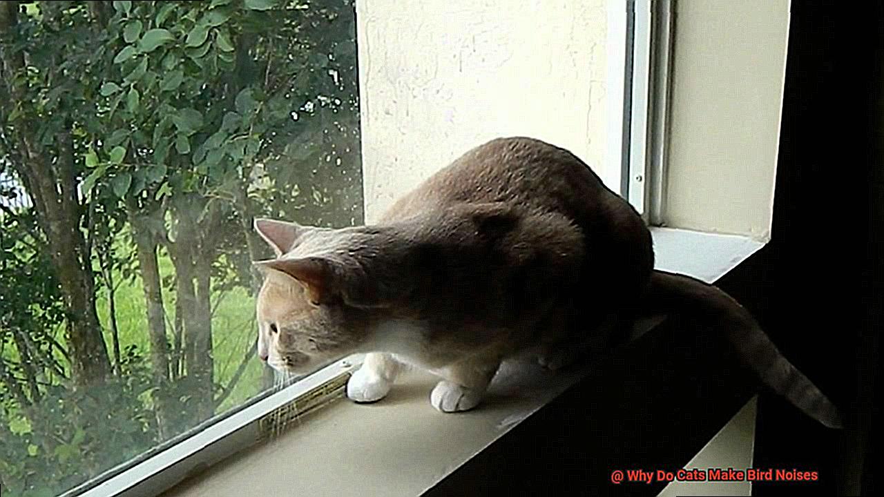 Why Do Cats Make Bird Noises-2