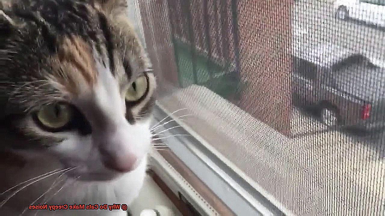 Why Do Cats Make Creepy Noises-2