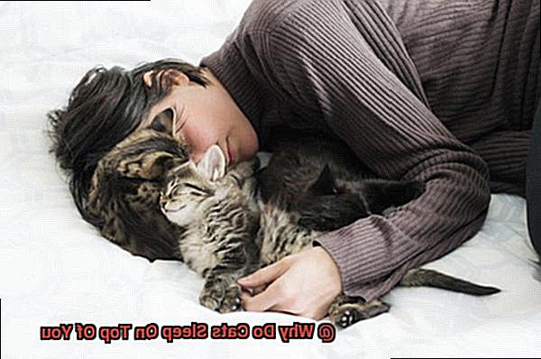 Why Do Cats Sleep On Top Of You-3