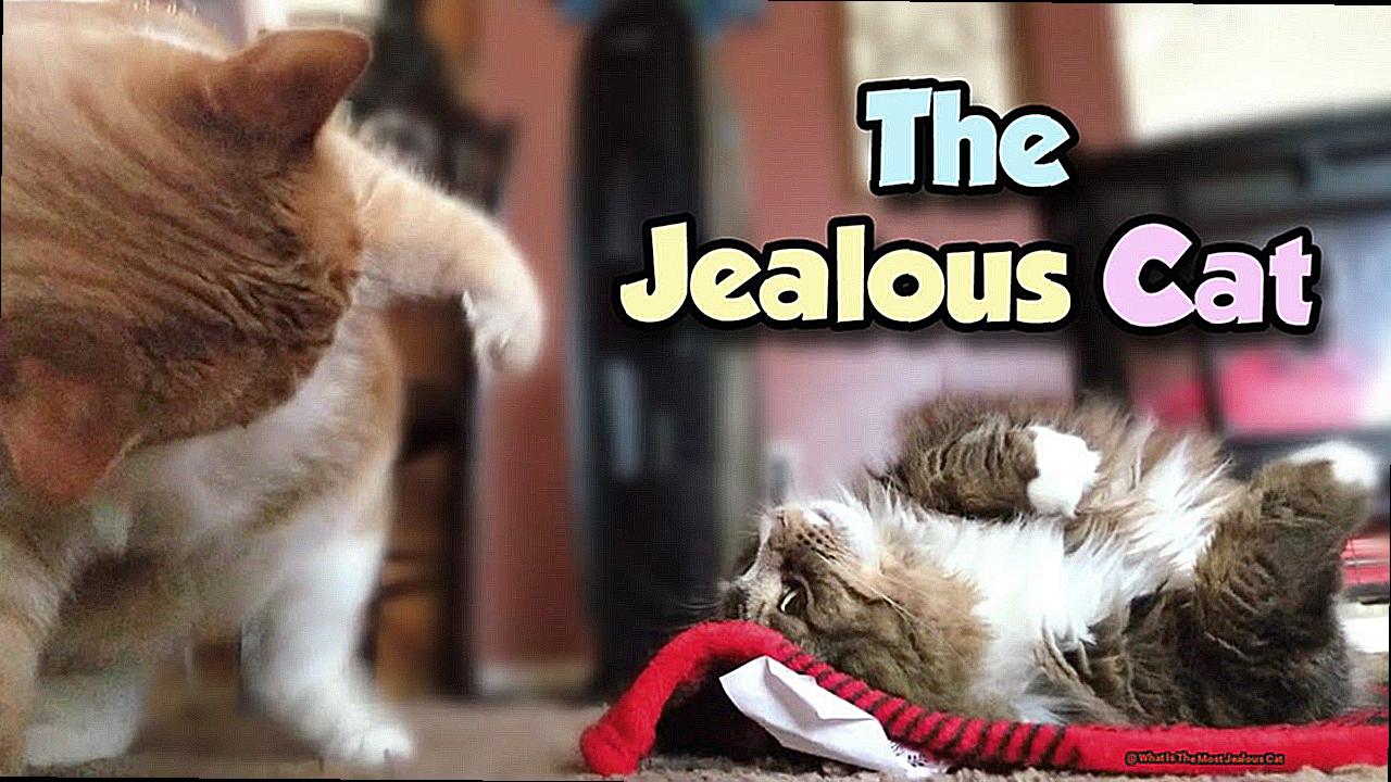 What Is The Most Jealous Cat?