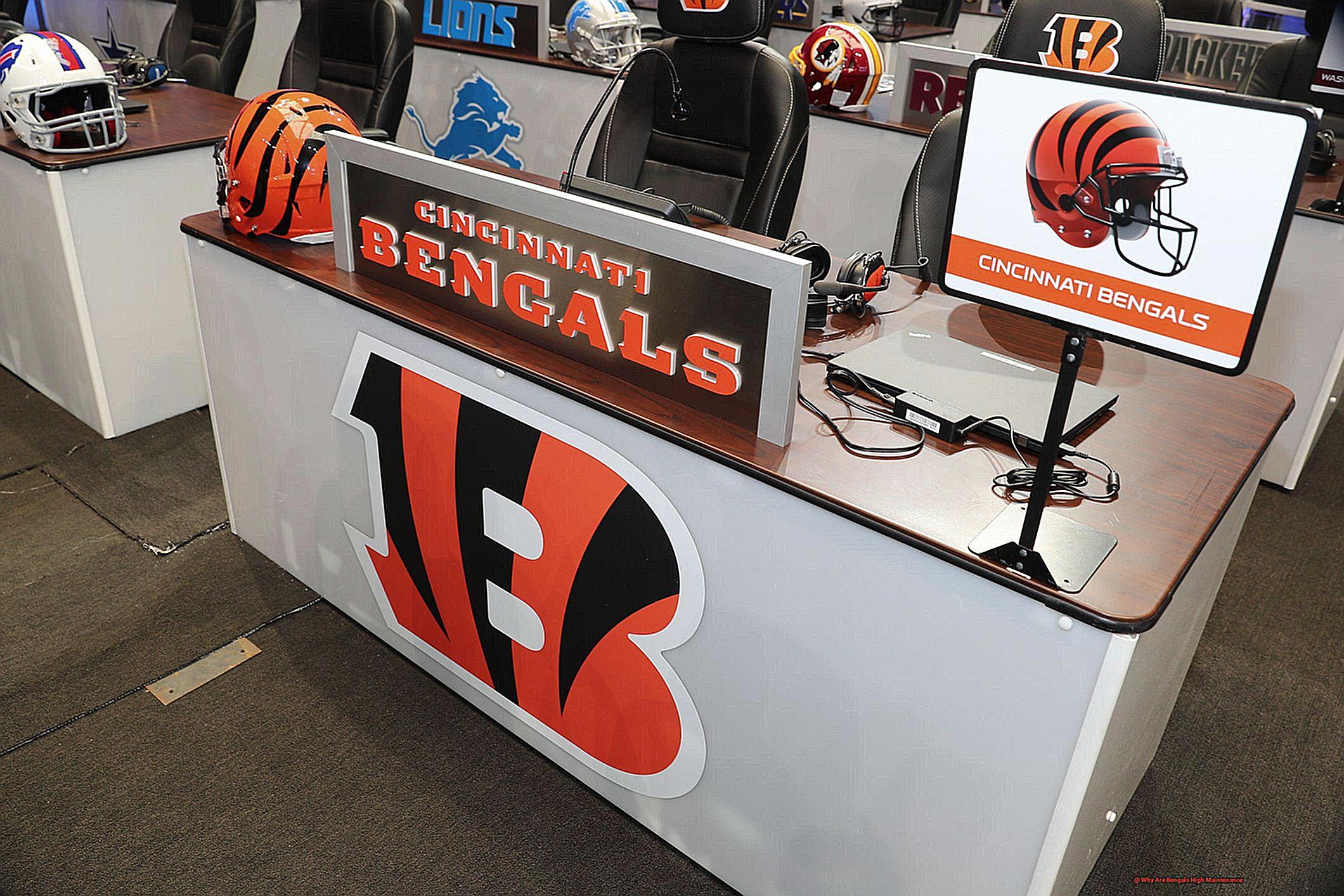 Why Are Bengals High Maintenance 07503c31fd